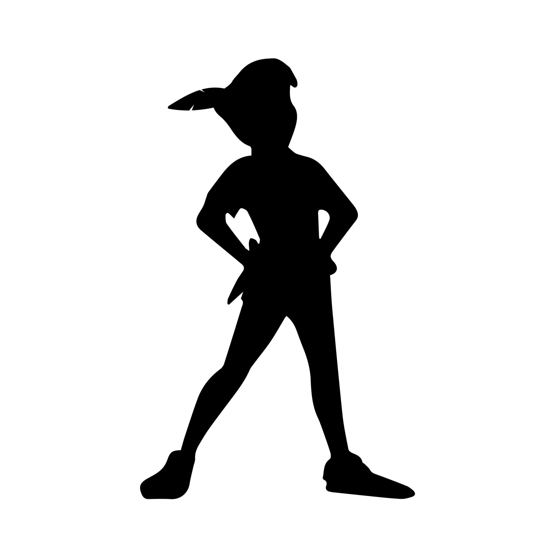 Peter Pan Wall Decal for Kids Room Disney sticker design