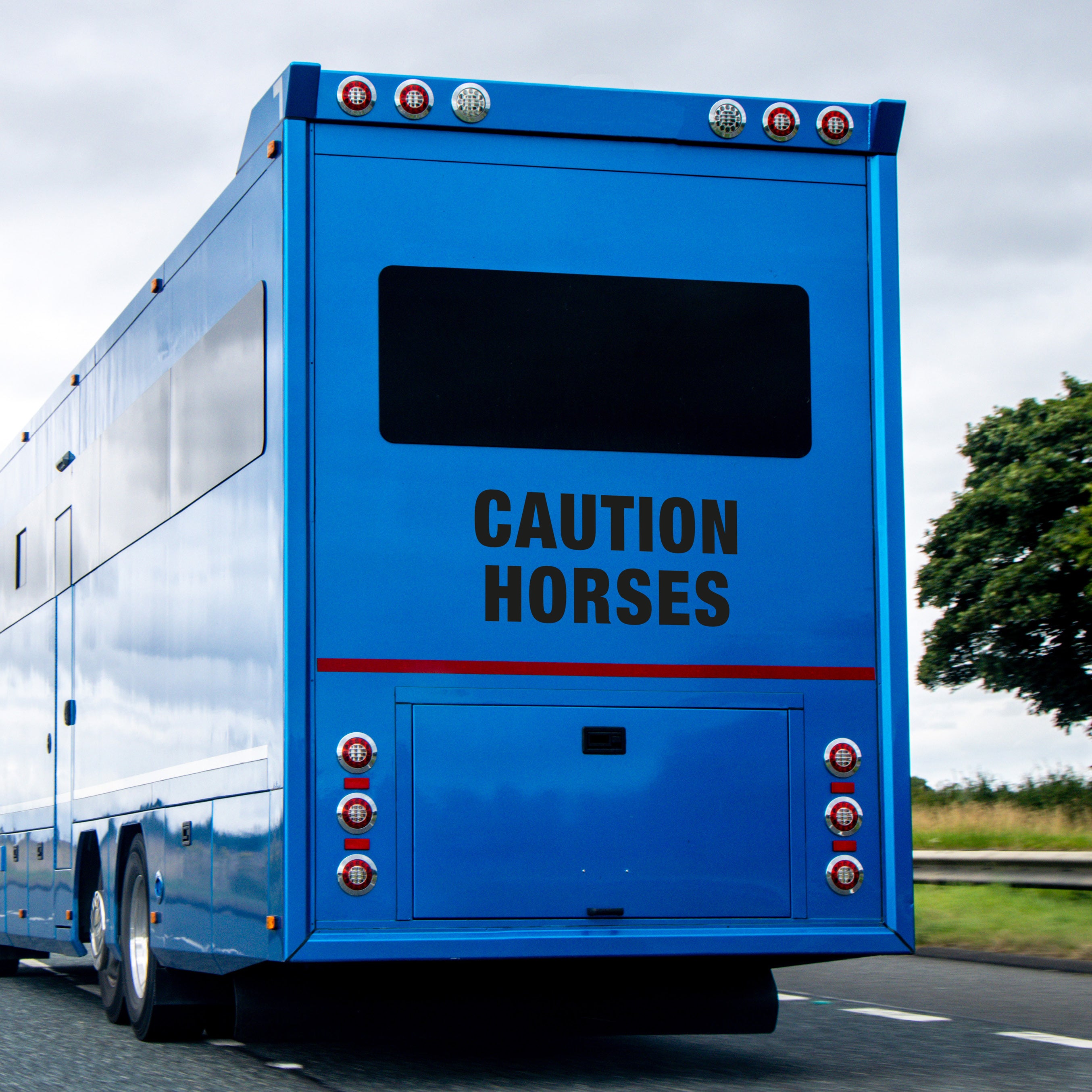 Caution Horses Vehicle Decal Sticker – Vinyl Safety Sign for Horse Trailers, Horseboxes & Towing Vehicles