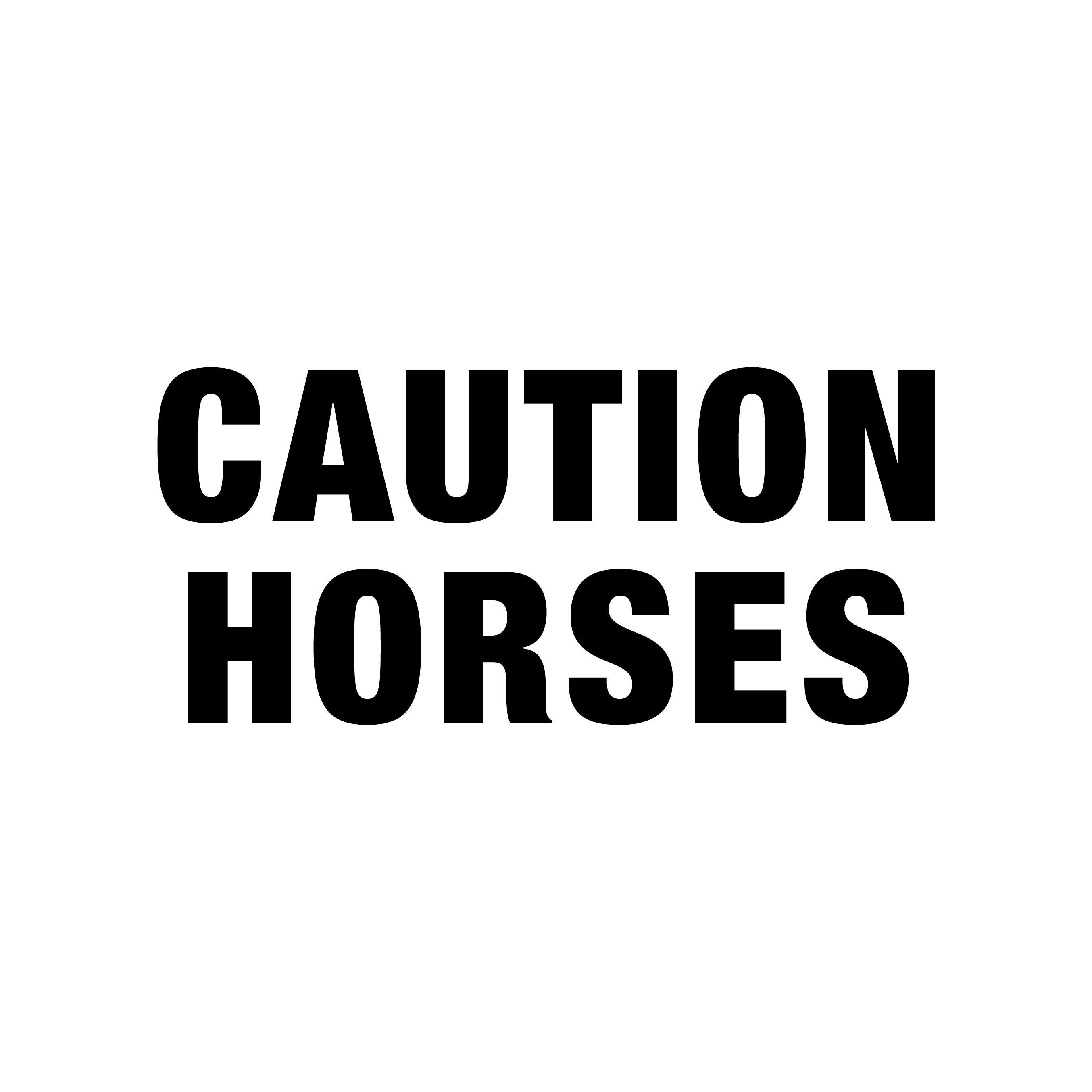 Caution Horses Vehicle Decal Sticker – Vinyl Safety Sign for Horse Trailers, Horseboxes & Towing Vehicles
