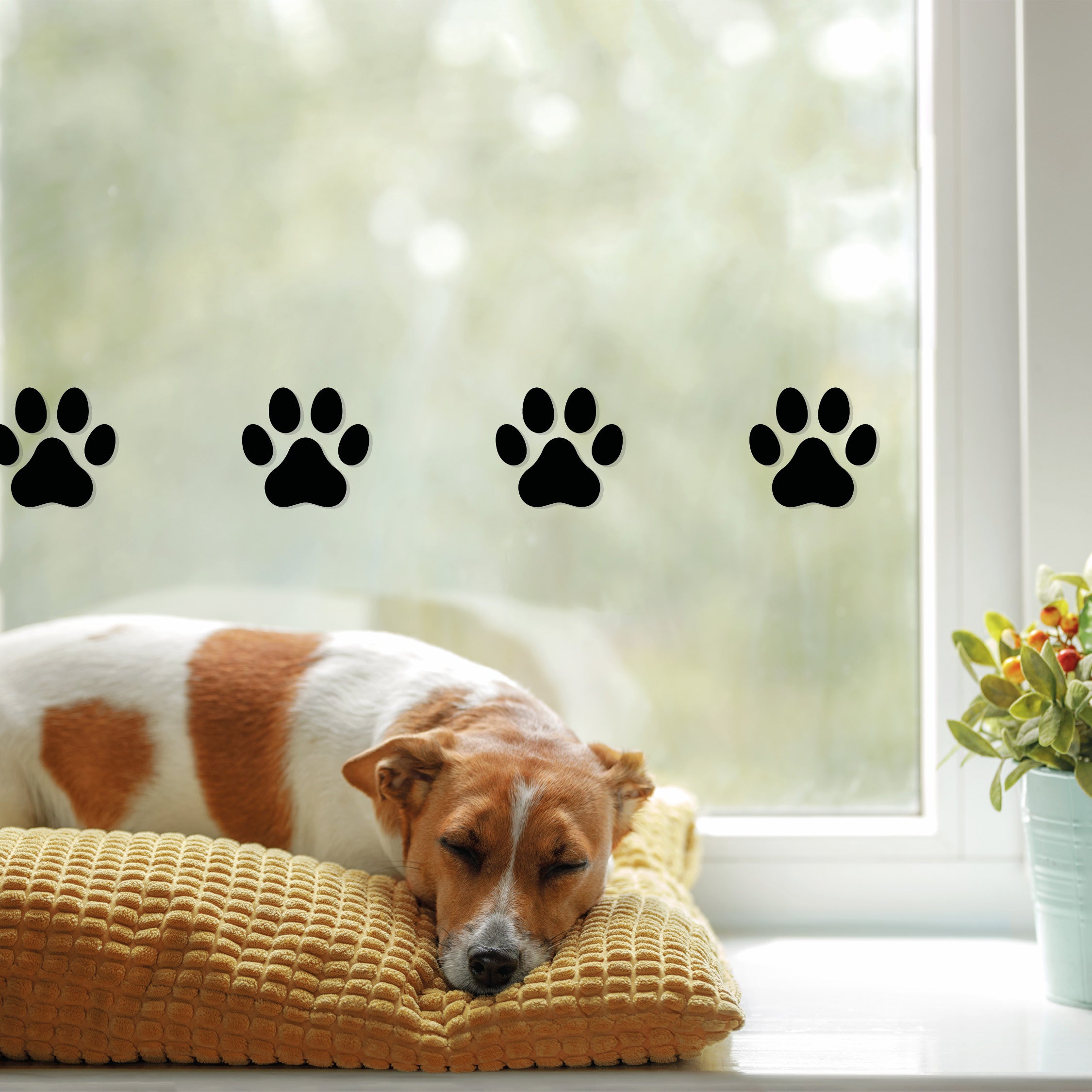 Dog paws animal paws decal stickers on window behind dogs