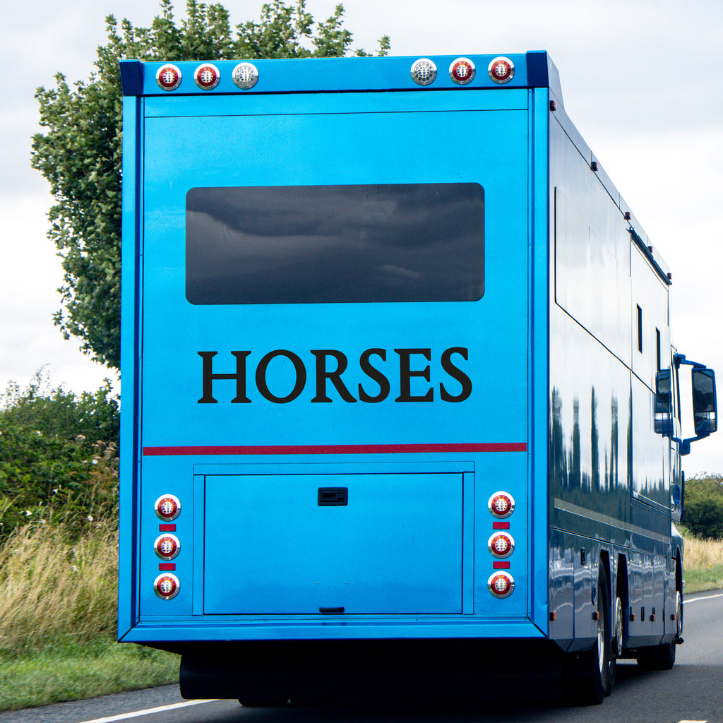 Horses Vehicle Vinyl Decal – Equestrian Horse Trailer Sticker for Safety & Road Awareness
