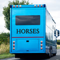 Horses Vehicle Vinyl Decal – Equestrian Horse Trailer Sticker for Safety & Road Awareness