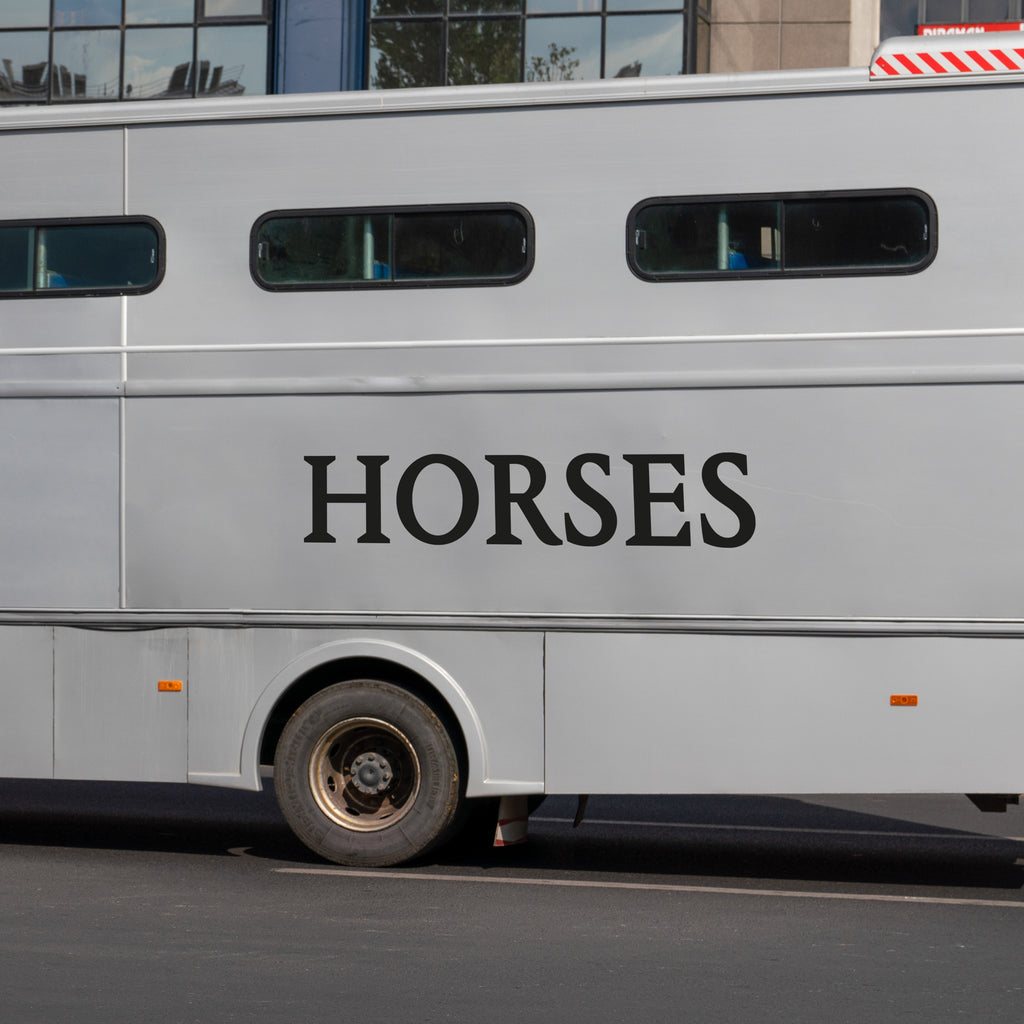 Horse Trailer Sticker