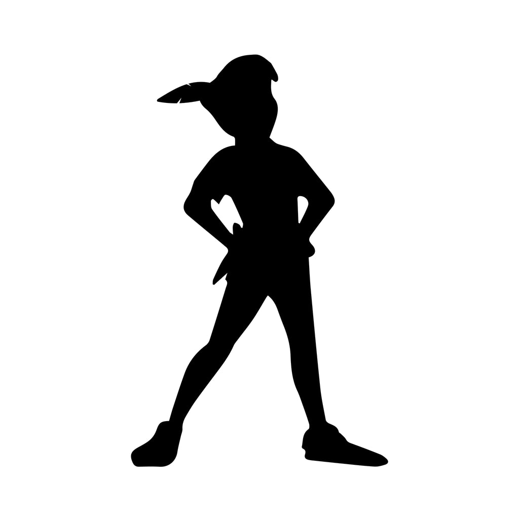    Peter Pan Wall Decal for Kids Room Disney sticker design