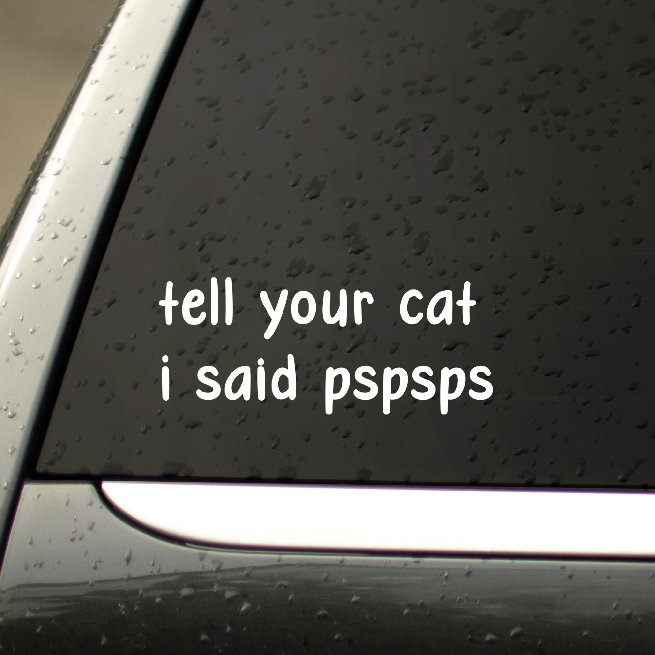 Funny cat decal sticker